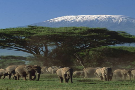 2 Days Amboseli National Park Safari