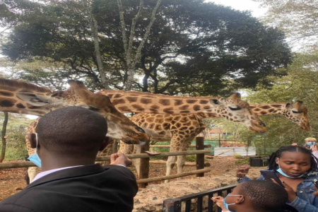 Nairobi City Tour: Karen Blixen Museum, Giraffe Center & Bomas of Kenya